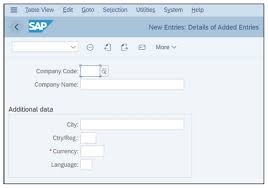 sap define company code